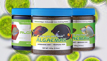 Nlspectrum Algae Gel Gelov 225 Receptura Pro B 253 Ložrav 233 Ryby nlspectrum algae gel gelov 225 receptura pro b 253 ložrav 233 ryby