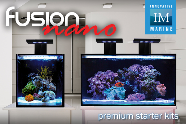nuvo nano fusion 10