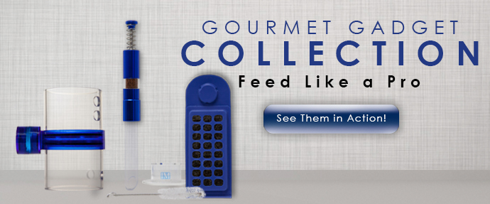 gourmet grazer feeding nori