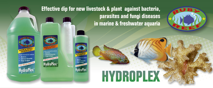 Hydroplex - dip for new marine livestock & plants (1 L) | DIPS for ...