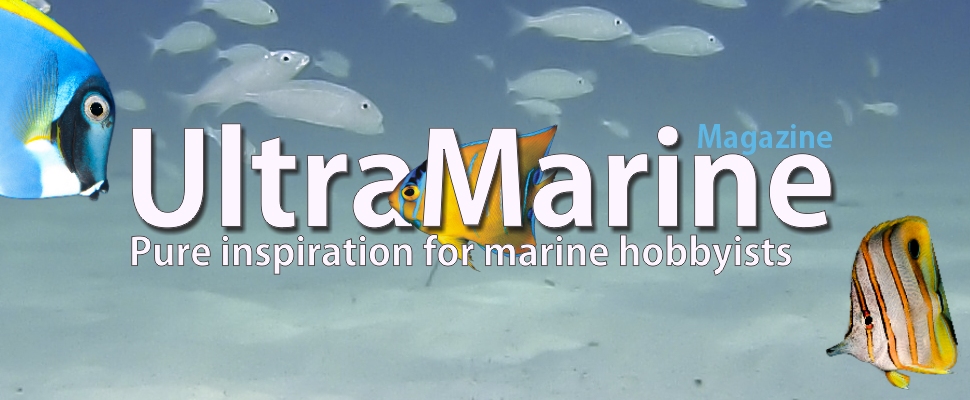 Ultramarine No 79 Jan 20 New Marine Aquatics Eu Wholesale