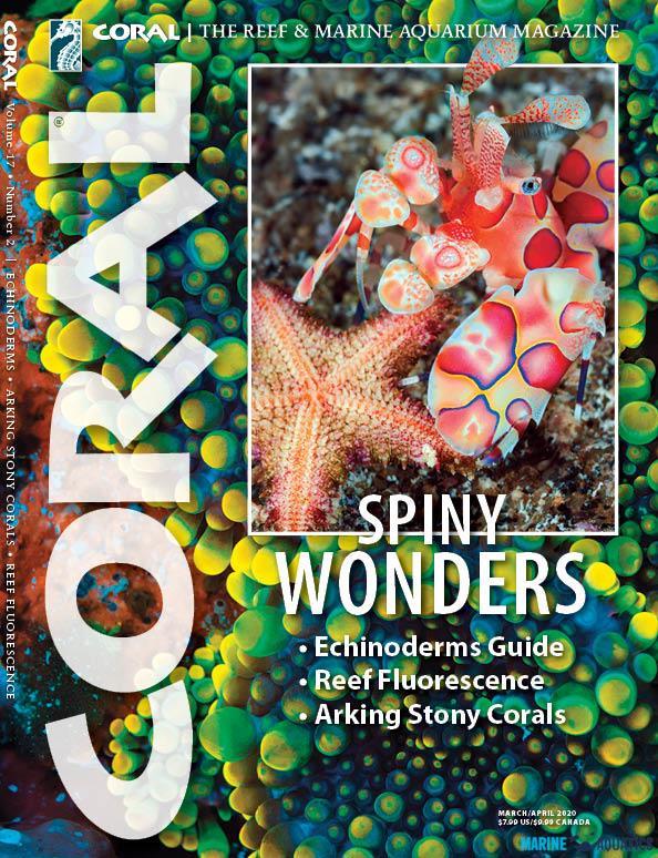 CORAL - SPINY WONDERS (MAR-APR´20)