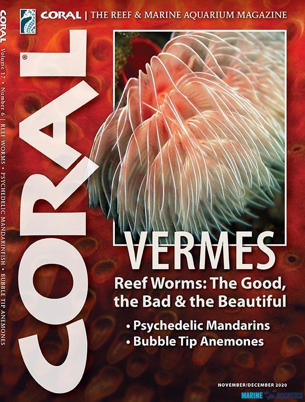 CORAL - VERMES (NOV-DEC20)