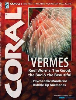 CORAL - VERMES (NOV-DEC20)