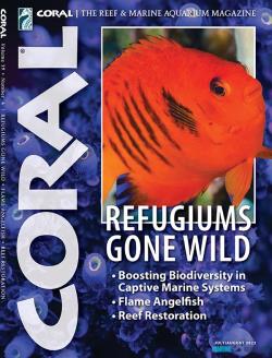 CORAL - Refugium gone wild (JUL-AUG22)