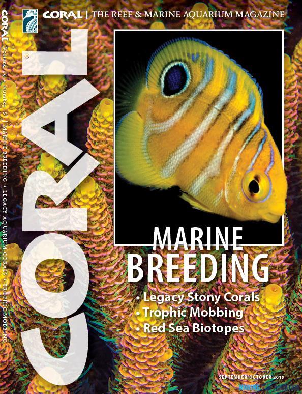 CORAL - MARINE BREEDING (SEP-OCT19)