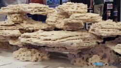 MarcoRock SHELF natural - korálové pláty (1kg)