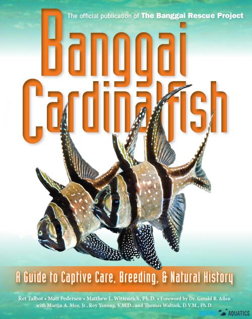 Banggai Cardinalfish