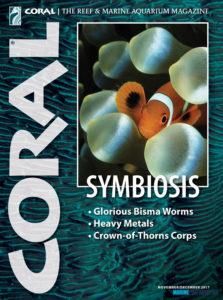 CORAL magazine -
