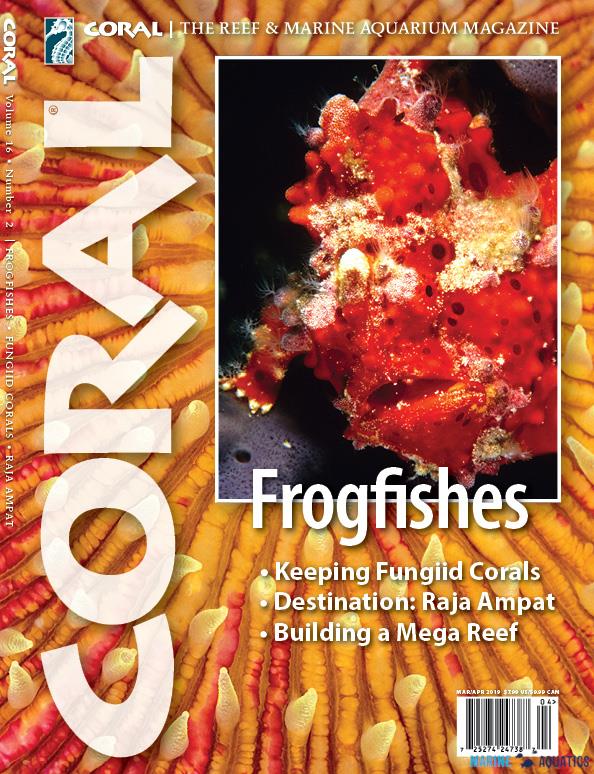 CORAL magazine - Frogfishes (MAR-APR19)