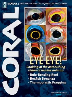 Časopis CORAL - Eye Eye! - 