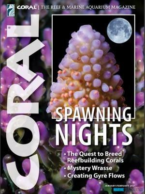 CORAL - Spawning Nights (JAN-FEB´21)
