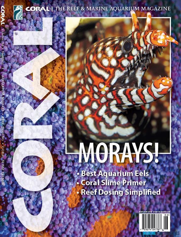 CORAL magazine - MORAYS! (MAY-JUN19)