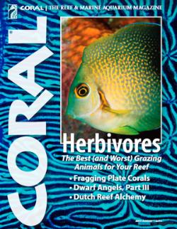 CORAL magazine -
