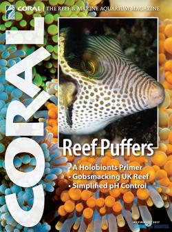 CORAL magazine -