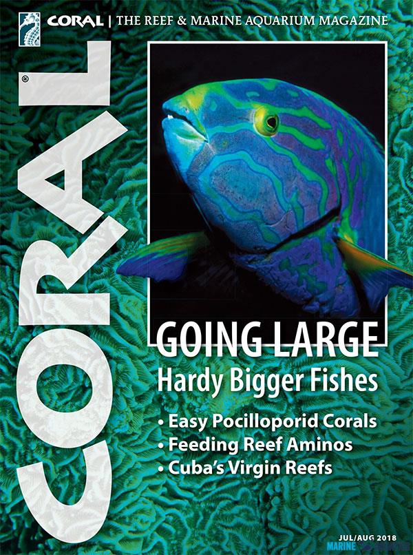 CORAL magazine - Going Large (JUL-AUG18)