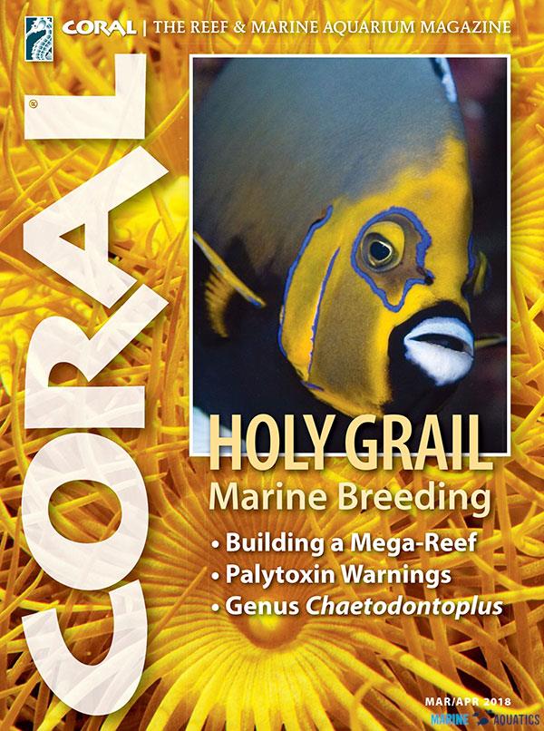 CORAL magazine - Holy Grail (MAR/APR18)