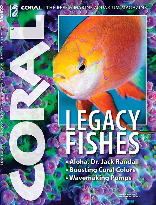 CORAL - LEGACY FISHES (JUL-AUG´20)