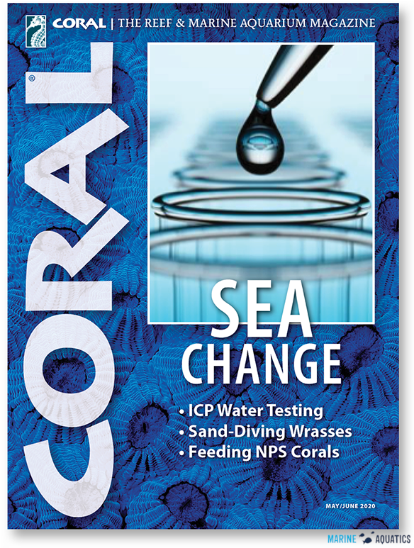 CORAL - SEA CHANGE (MAY-JUN´20)