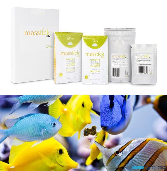 Easy Masstick PRO 1000 - krmivo pro ryby a bezobratlé, 1000g