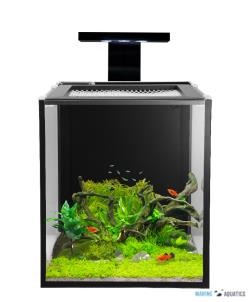 nuvo nano fusion 10