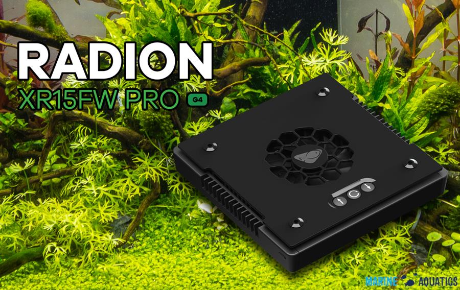 radion led ecotech marine