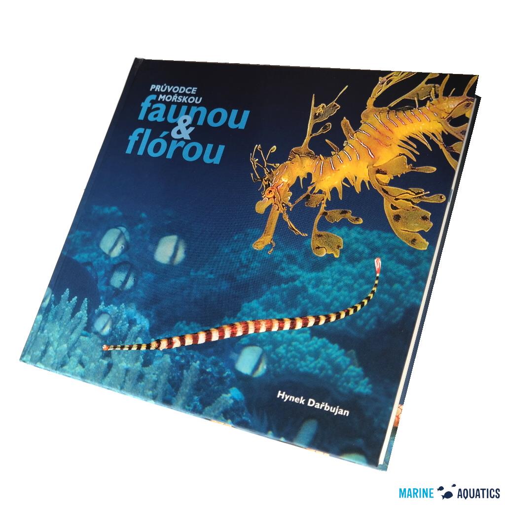 Průvodce mořskou faunou & flórou