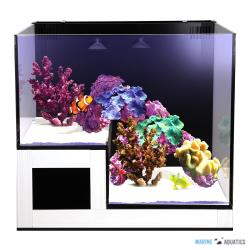 Nuvo Concept ABYSS PANORAMA - aquarium + pump, fitration (75L)