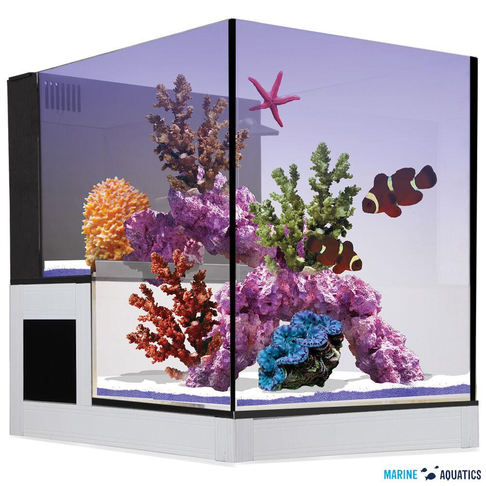 Nuvo Concept ABYSS PENINSULA - aquarium + pump, fitration (75L)