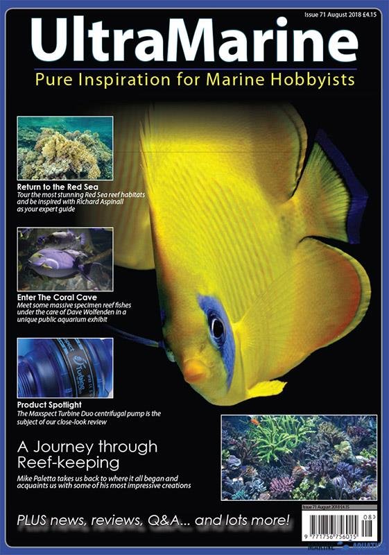 UltraMarine no.71 (AUG-SEP18)