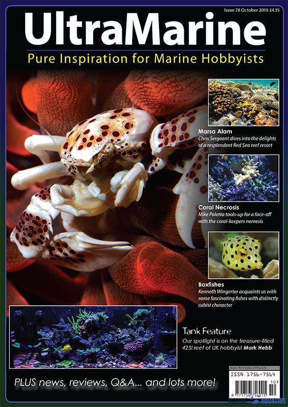 UltraMarine no.78 (OCT-NOV´19)