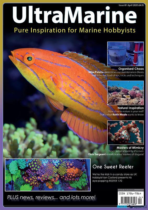 UltraMarine no.81 (APR´20)