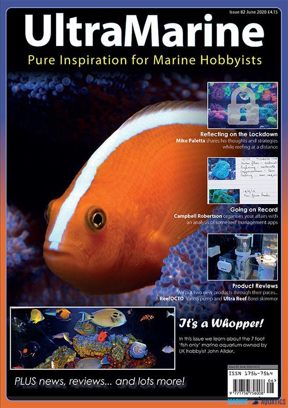 UltraMarine no.82 (JUN´20)