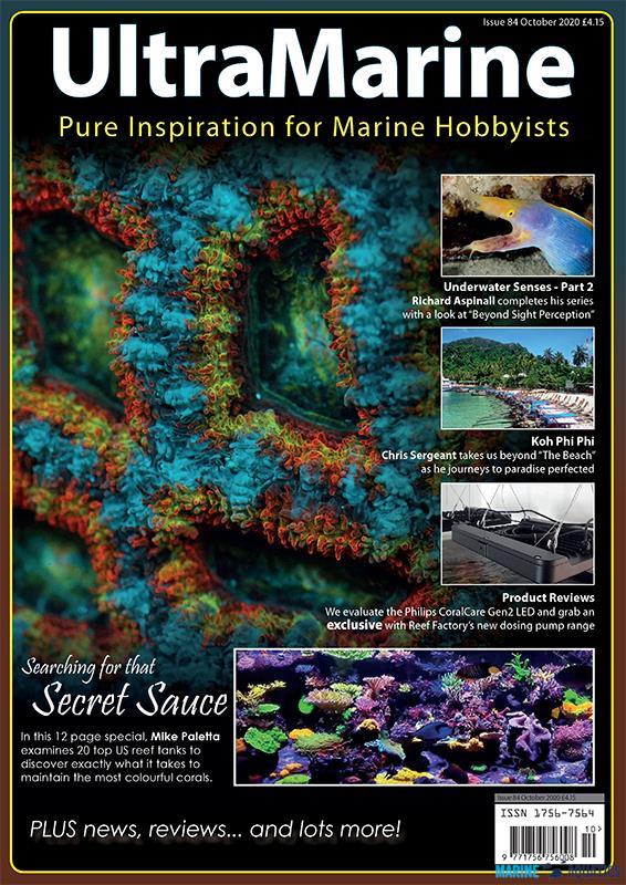 UltraMarine no.84 (OCT´20)