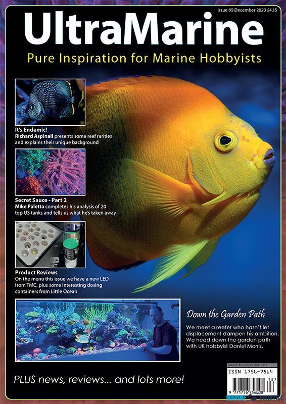 UltraMarine no.85 (JAN´21)