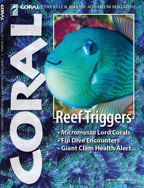 CORAL magazine - Reef Triggers (JAN-FEB19)