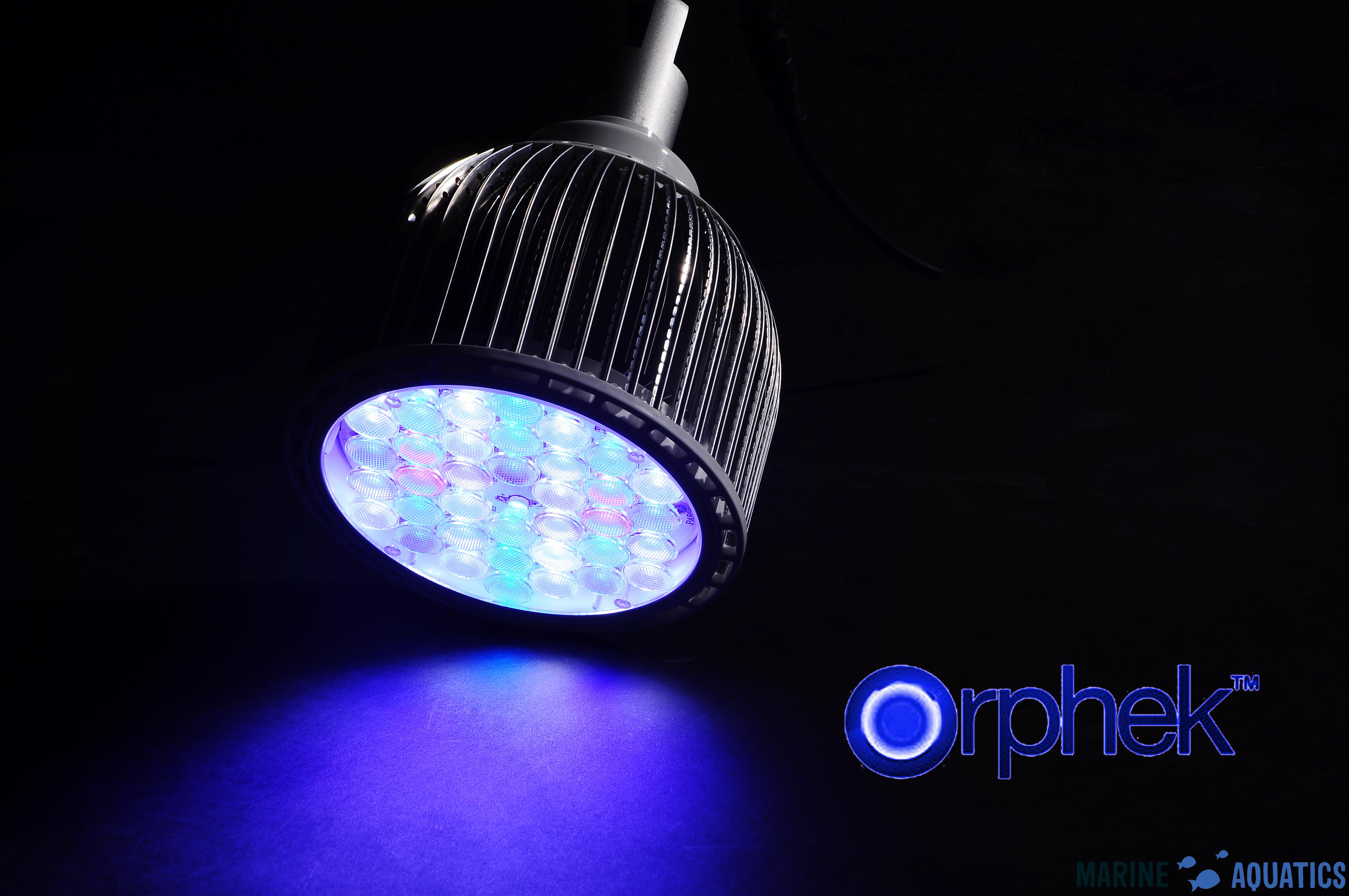 orphek marine aquatics wholesale