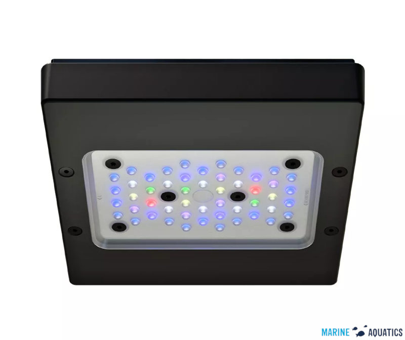 Radion XR15 G6 PRO - akv.osvětlení s 50LED