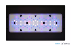 Radion XR30 G6 BLUE - akv.osvětlení se 100LED