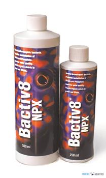 Bactiv8 NPX - bakterie pro biologickou rovnováhu (500ml)