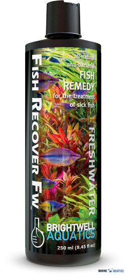 Fish Recover FW - proti bakteriálním infekcím sladkovodních ryb (250ml)
