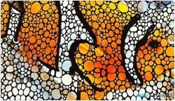 Flipper FLOOR mat w/CLOWNFISH - podložka/rohožka