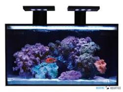 Nuvo Fusion20 + 2x Skkye Light 18W/10-20k, marine kit  (76 liters)