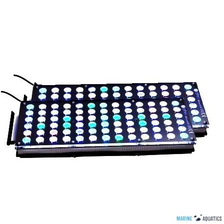 orphek marine aquatics wholesale