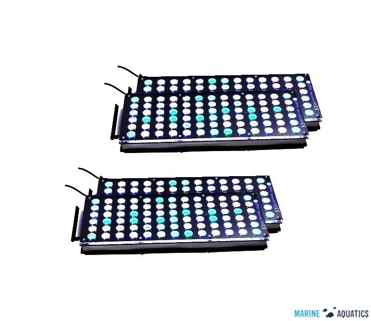 orphek marine aquatics wholesale