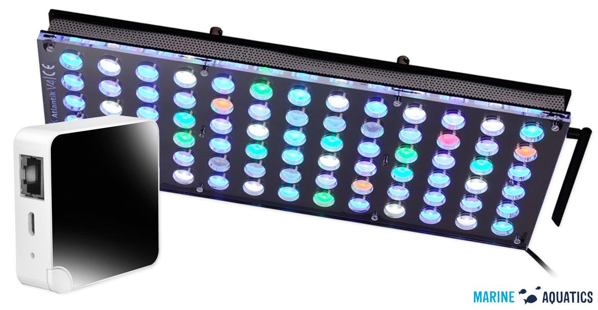 orphek marine aquatics wholesale