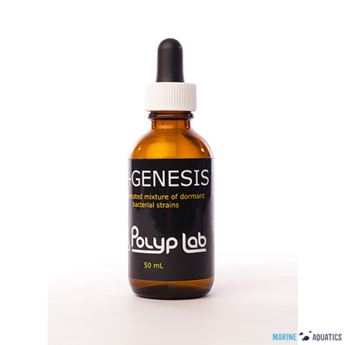 PolypLab Genesis Bacteria (50ml)
