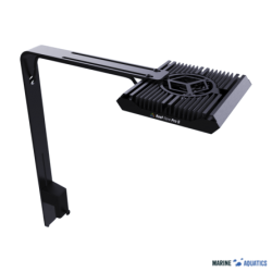 Reef Flare Pro ARM S (black)