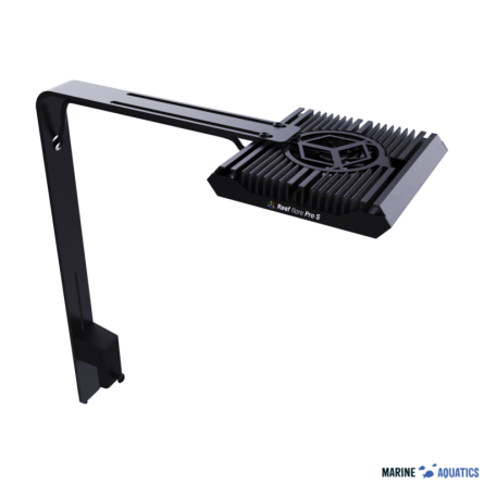 Reef Flare Pro ARM S (black)