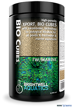Xport BIO Cubes - bacterial colonization for bio waste reduction (250ml)